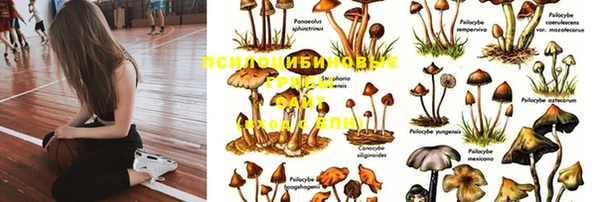 метадон Абинск
