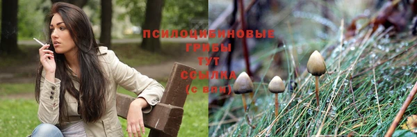 мет Абаза