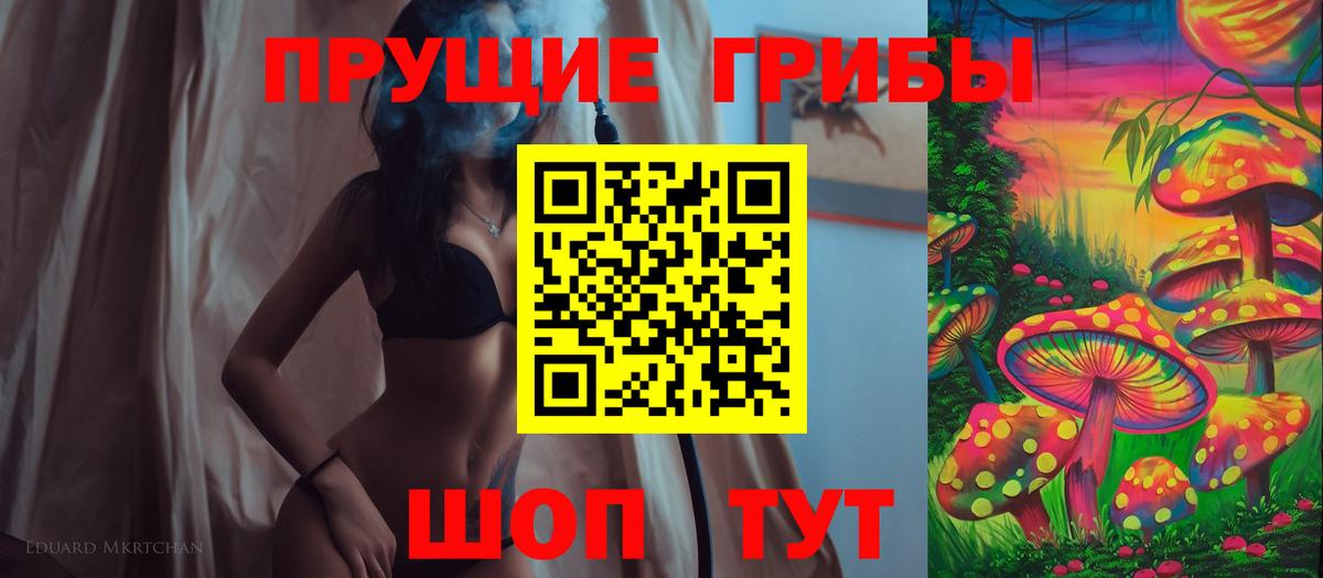 Галлюциногенные грибы Psilocybe Серпухов