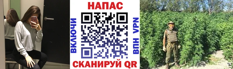 блэк спрут ссылки где найти наркотики Серпухов Бошки Шишки White Widow